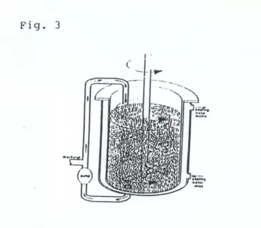 1640855532210204.jpg 3.webp.jpg